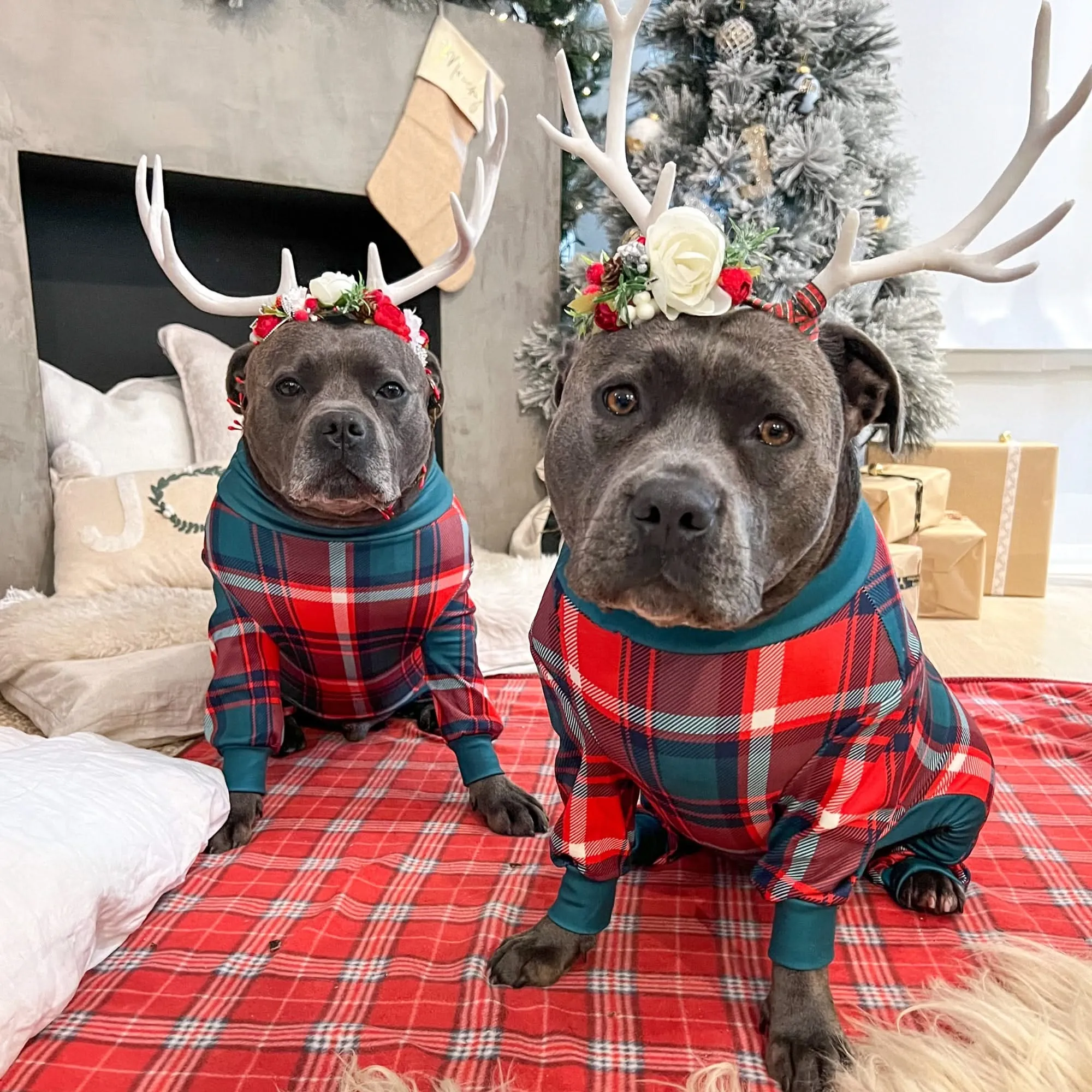 Christmas Dog Pajama - Green and Red Plaid